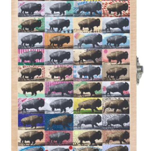 Buffalo Running 01
