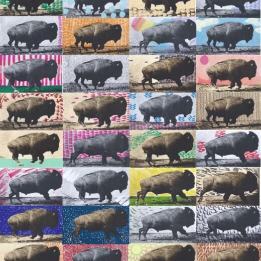 Buffalo Running 04