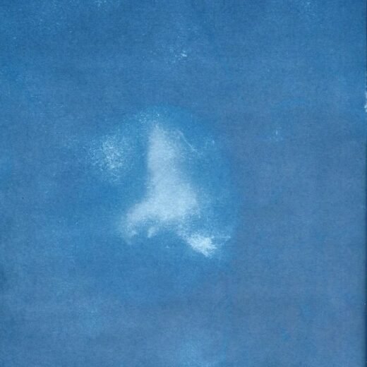 Orb Print 12