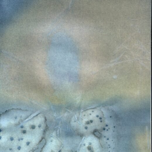 Orb Print 22