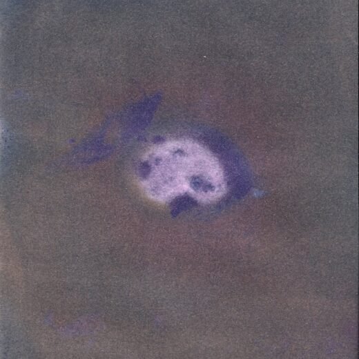 Orb Print 29